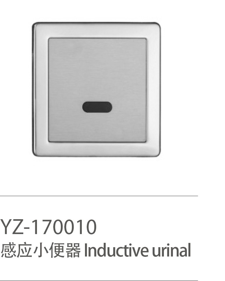YZ-170010